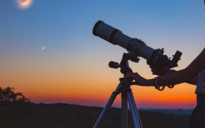 Increase order volume 4x and gain visibility with strong Case Management strategy