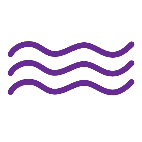 Allium Sales Cloud Implementation